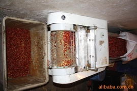 项目合作新纪元 网络技术服务的核心价值与成功路径